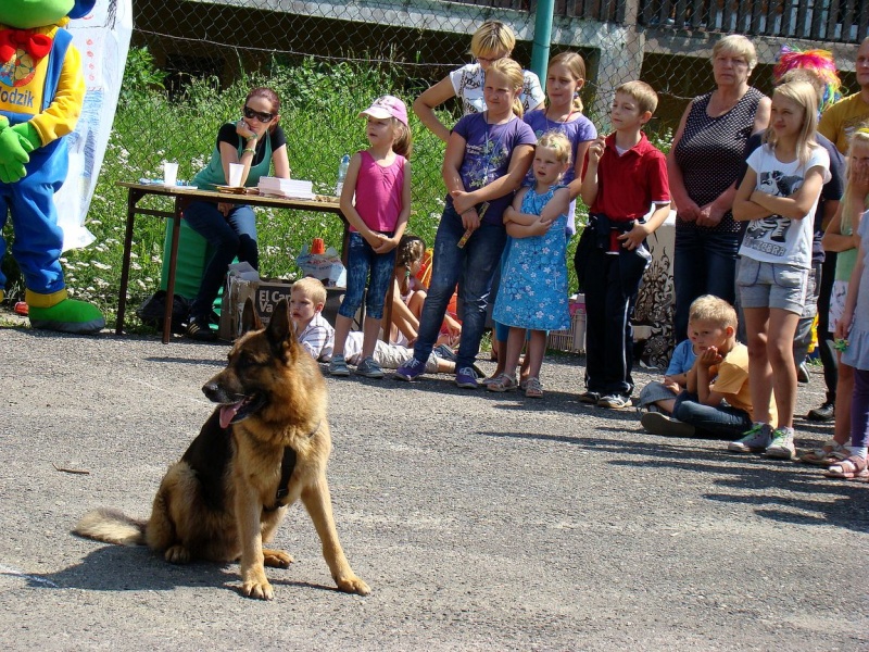 Zdjęcie w galerii na portalu naszwodzislaw.com: Sznupek i Toro z wizytą na Maju wiadomości z regionu