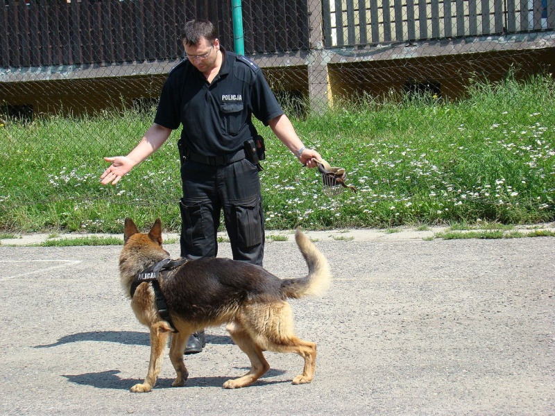 Zdjęcie w galerii na portalu naszwodzislaw.com: Sznupek i Toro z wizytą na Maju wiadomości z regionu