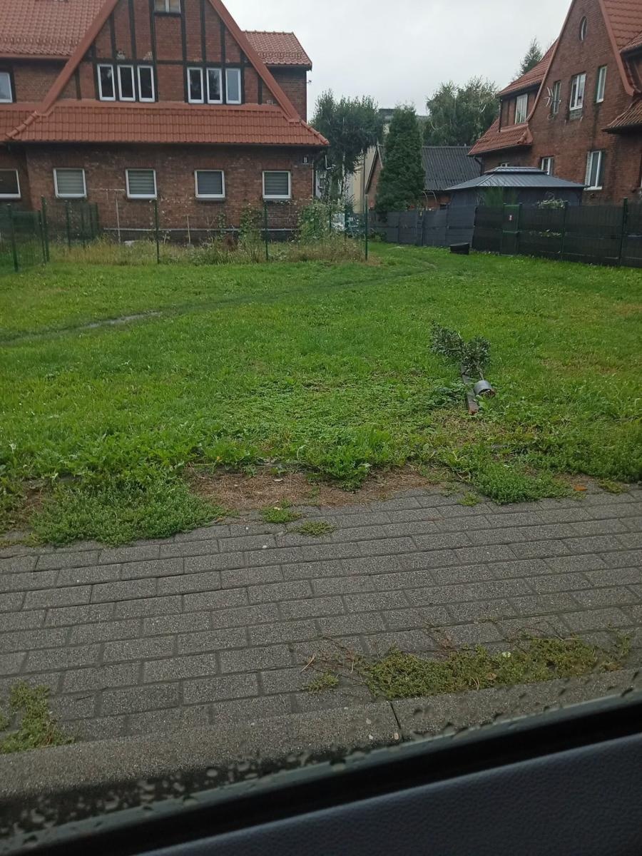 Zdjęcie w galerii na portalu naszwodzislaw.com: Wandale znów dali o sobie znać. Zniszczona toaleta i drzewo w Radlinie wiadomości z regionu