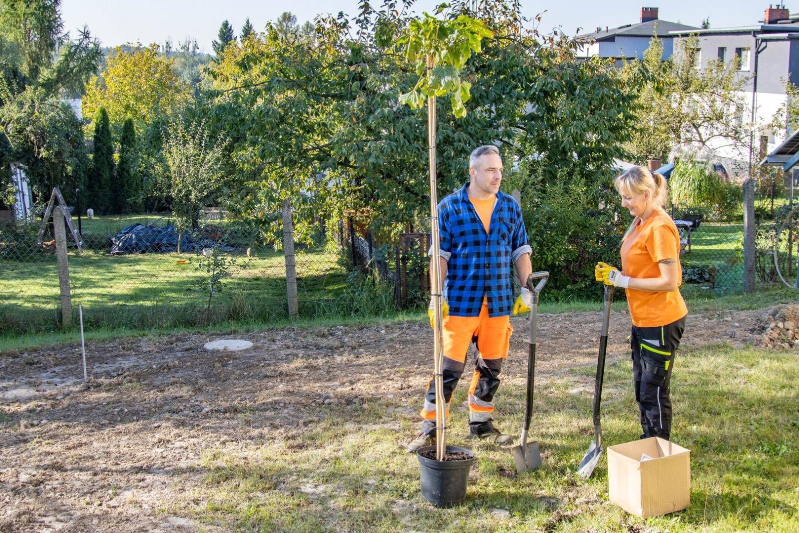 Zdjęcie w galerii na portalu naszwodzislaw.com: Wodzisław sadzi drzewa i stawia na OZE. Uczniowie pomogli zazielenić okolice szkół wiadomości z regionu
