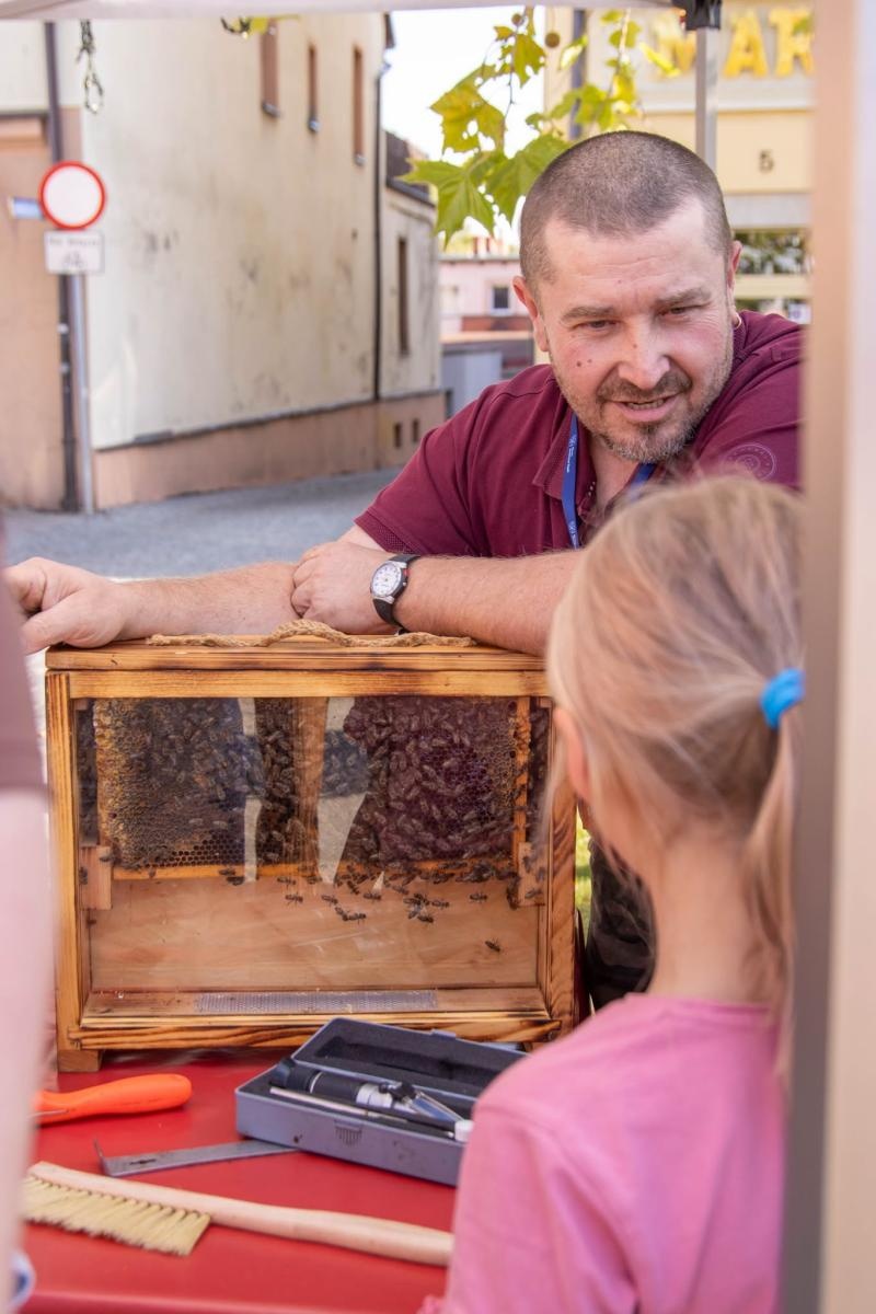 Zdjęcie w galerii na portalu naszwodzislaw.com: Jesień zawitała na wodzisławski Rynek. DzieJesie(ń) Festiwal przyciągnął tłumy [FOTO] wiadomości z regionu