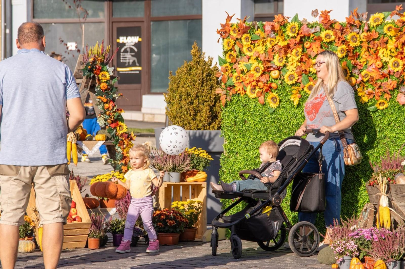 Zdjęcie w galerii na portalu naszwodzislaw.com: Jesień zawitała na wodzisławski Rynek. DzieJesie(ń) Festiwal przyciągnął tłumy [FOTO] wiadomości z regionu