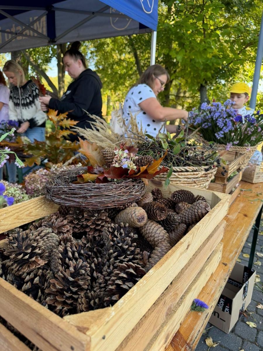 Zdjęcie w galerii na portalu naszwodzislaw.com: Dyniowe Love przyciągnęło tłumy. Rydułtowy rozpoczęły jesień pełną kolorów [FOTO] wiadomości z regionu