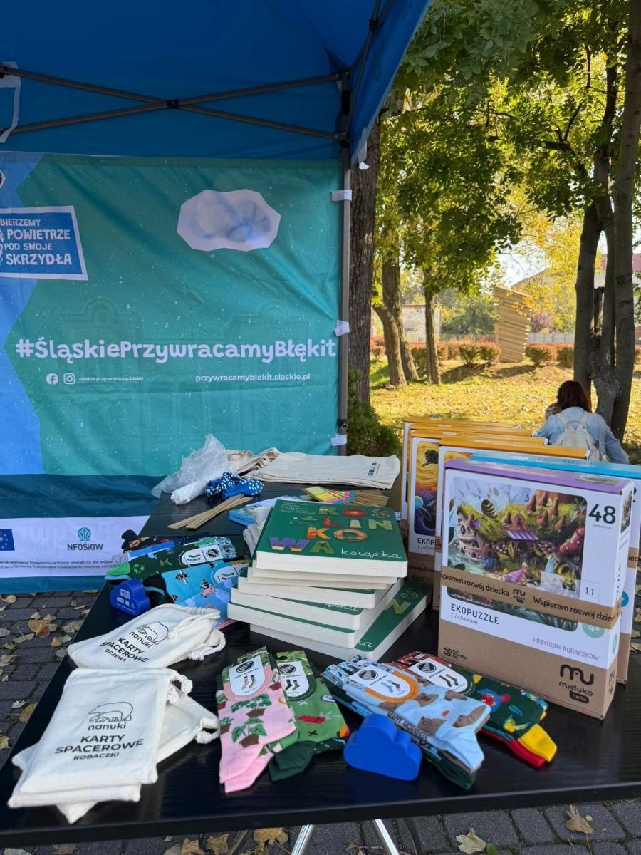 Zdjęcie w galerii na portalu naszwodzislaw.com: Dyniowe Love przyciągnęło tłumy. Rydułtowy rozpoczęły jesień pełną kolorów [FOTO] wiadomości z regionu