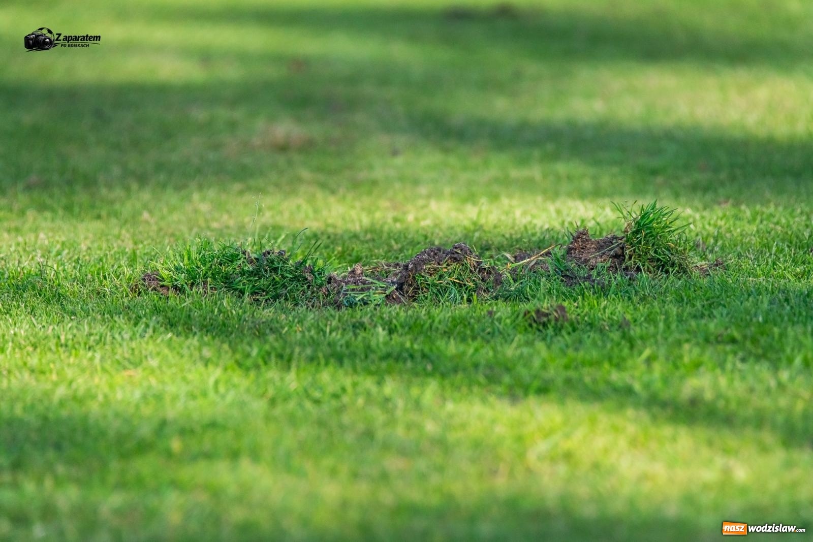 Zdjęcie w galerii na portalu naszwodzislaw.com: Nowy trener, stary problem. Kolejarz Chałupki przegrał z ostatnim zespołem tabeli [FOTO] wiadomości z regionu