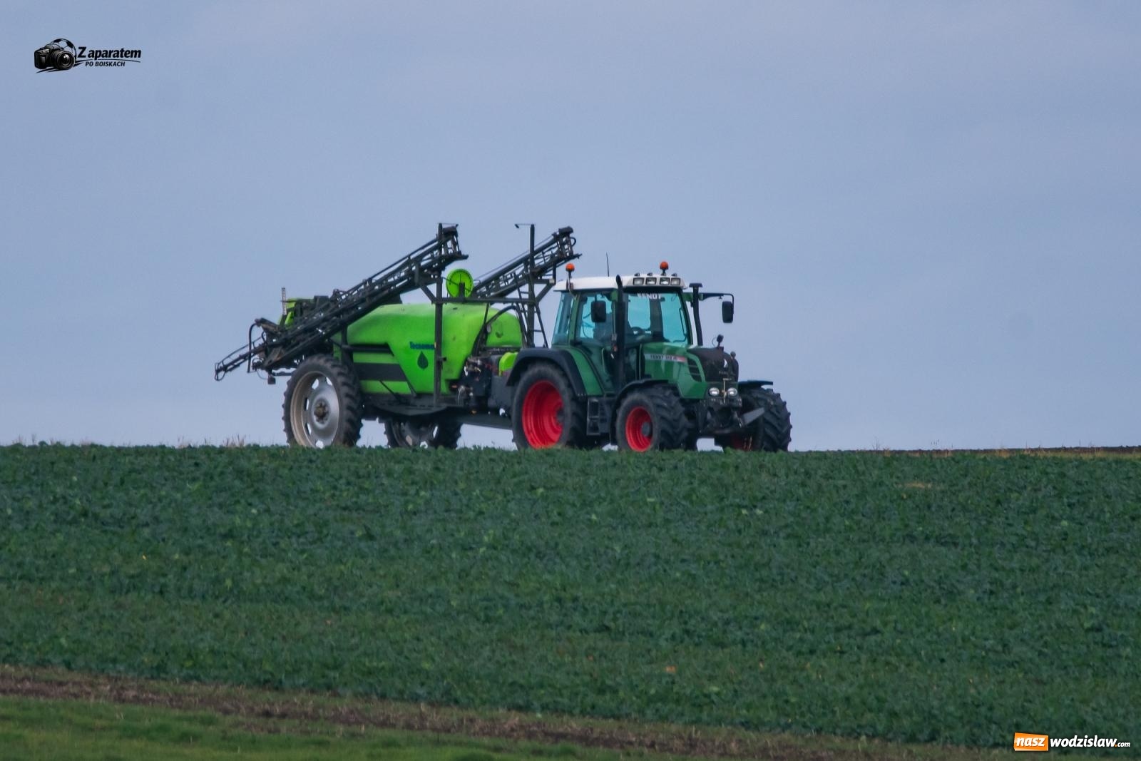 Zdjęcie w galerii na portalu naszwodzislaw.com: Pietraszyn zgubił punkty z ostatnią drużyną w tabeli. Naprzód Krzyżkowice sprawił niespodziankę [FOTO] wiadomości z regionu