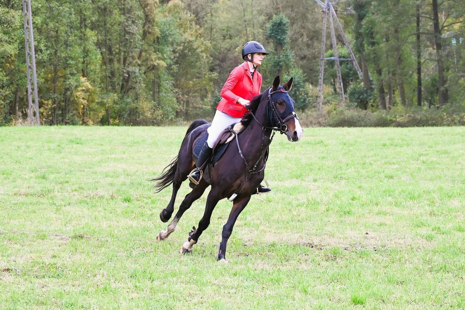 Zdjęcie w galerii na portalu naszwodzislaw.com: Kto złapał lisią kitę w Krostoszowicach? Hubertus zakończył sezon jeździecki [FOTO] wiadomości z regionu