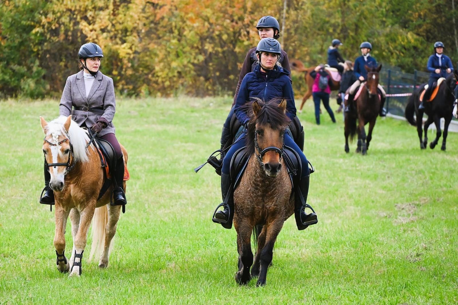 Zdjęcie w galerii na portalu naszwodzislaw.com: Kto złapał lisią kitę w Krostoszowicach? Hubertus zakończył sezon jeździecki [FOTO] wiadomości z regionu