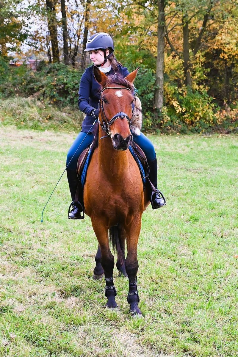 Zdjęcie w galerii na portalu naszwodzislaw.com: Kto złapał lisią kitę w Krostoszowicach? Hubertus zakończył sezon jeździecki [FOTO] wiadomości z regionu