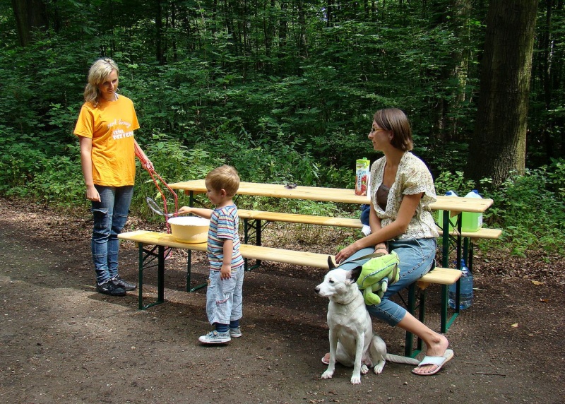 Zdjęcie w galerii na portalu naszwodzislaw.com: Tam można przeżyć leśną przygodę wiadomości z regionu