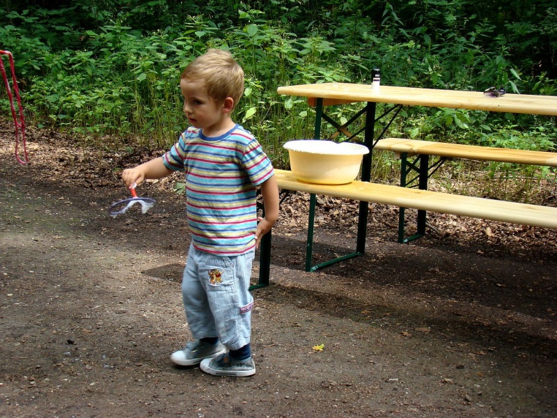 Zdjęcie w galerii na portalu naszwodzislaw.com: Tam można przeżyć leśną przygodę wiadomości z regionu