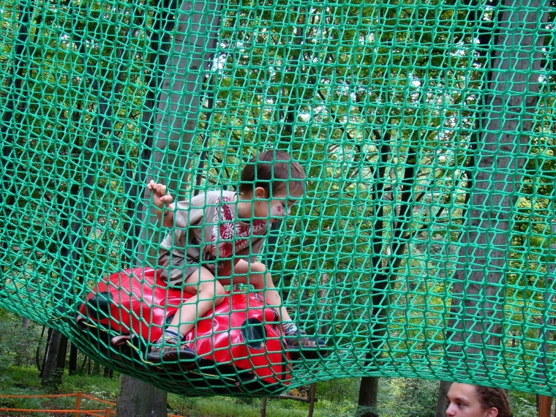 Zdjęcie w galerii na portalu naszwodzislaw.com: Tam można przeżyć leśną przygodę wiadomości z regionu