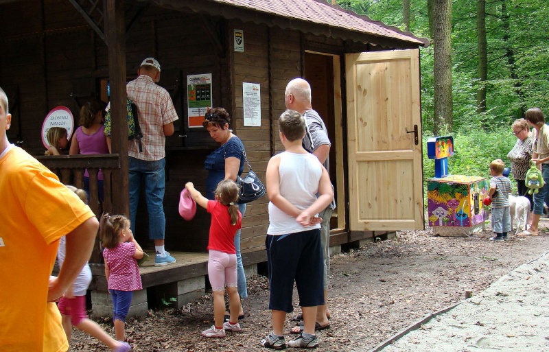 Zdjęcie w galerii na portalu naszwodzislaw.com: Tam można przeżyć leśną przygodę wiadomości z regionu