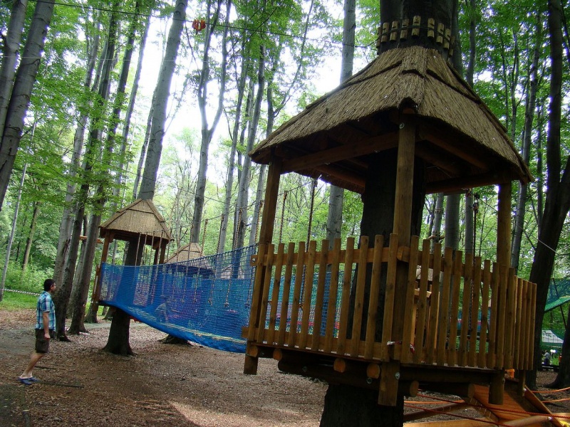 Zdjęcie w galerii na portalu naszwodzislaw.com: Tam można przeżyć leśną przygodę wiadomości z regionu