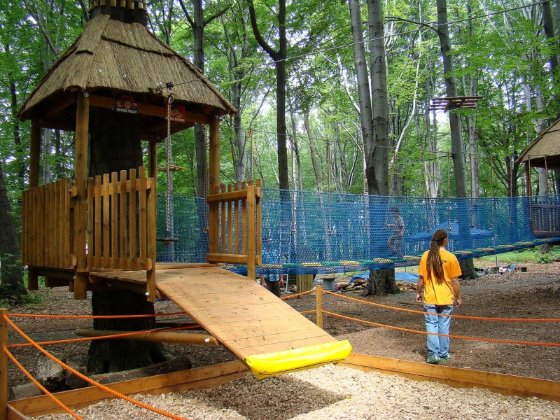 Zdjęcie w galerii na portalu naszwodzislaw.com: Tam można przeżyć leśną przygodę wiadomości z regionu