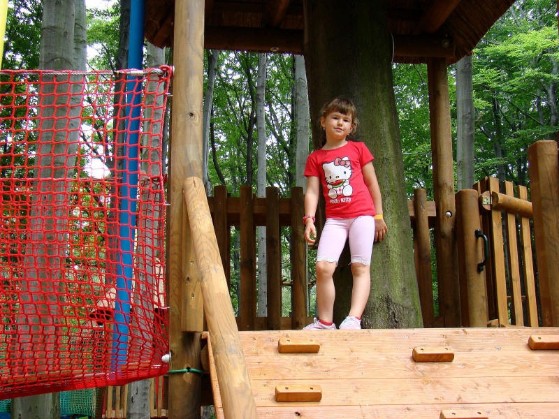 Zdjęcie w galerii na portalu naszwodzislaw.com: Tam można przeżyć leśną przygodę wiadomości z regionu