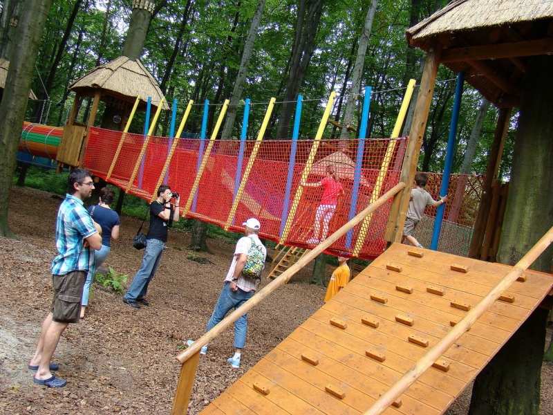 Zdjęcie w galerii na portalu naszwodzislaw.com: Tam można przeżyć leśną przygodę wiadomości z regionu