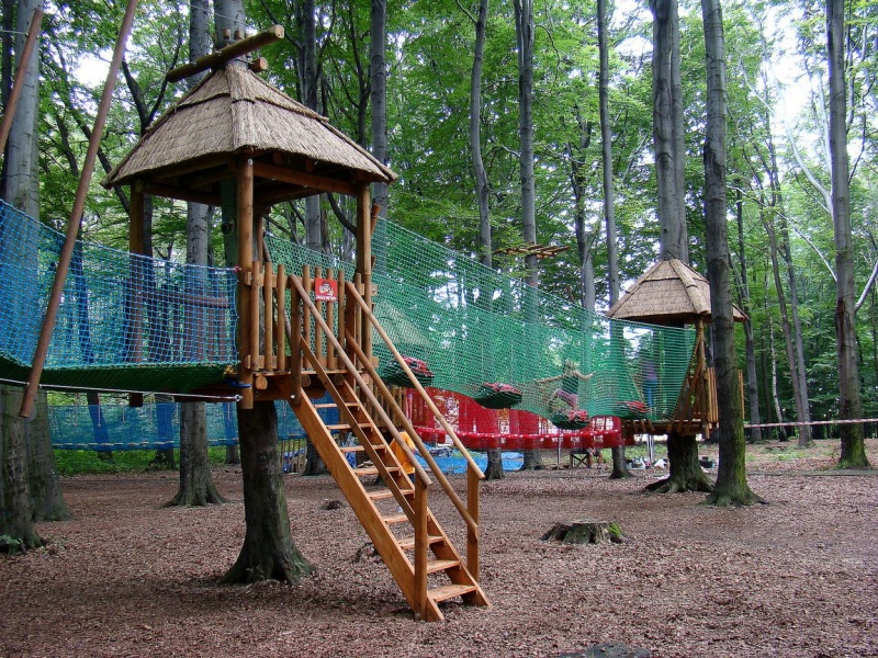 Zdjęcie w galerii na portalu naszwodzislaw.com: Tam można przeżyć leśną przygodę wiadomości z regionu