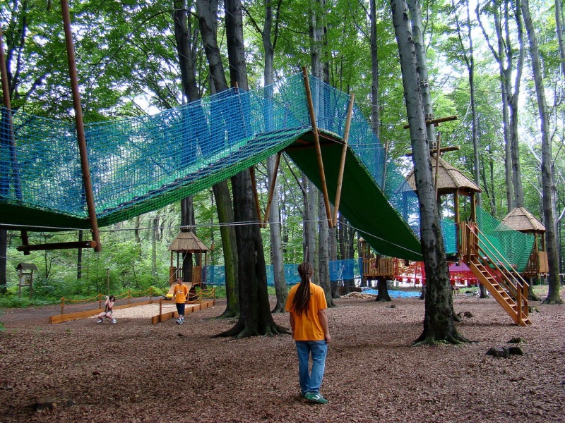 Zdjęcie w galerii na portalu naszwodzislaw.com: Tam można przeżyć leśną przygodę wiadomości z regionu