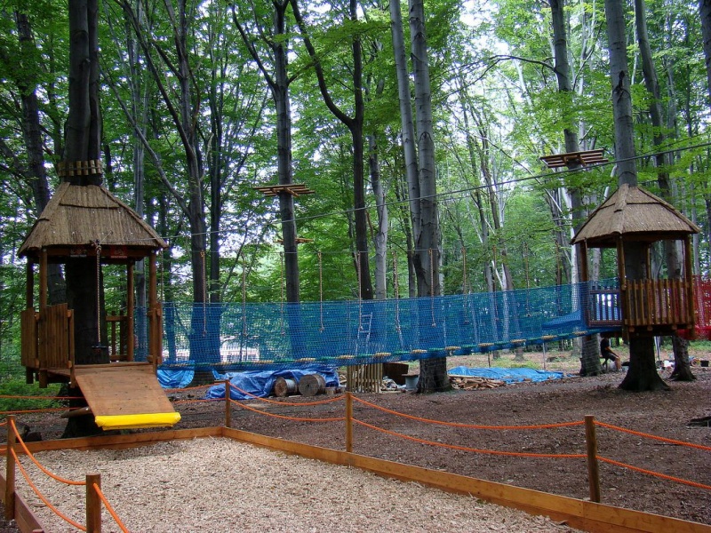 Zdjęcie w galerii na portalu naszwodzislaw.com: Tam można przeżyć leśną przygodę wiadomości z regionu