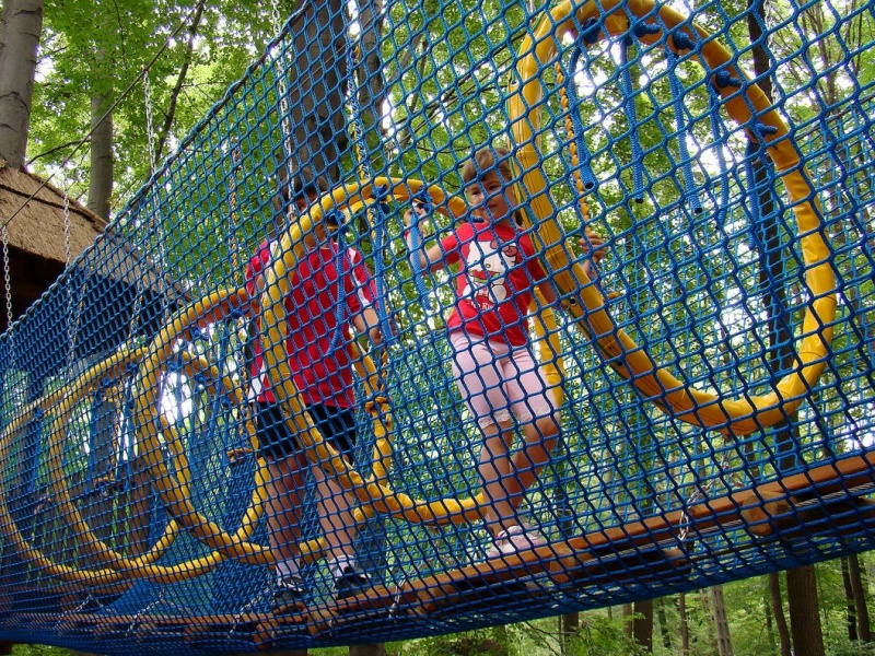 Zdjęcie w galerii na portalu naszwodzislaw.com: Tam można przeżyć leśną przygodę wiadomości z regionu