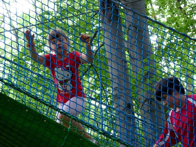 Zdjęcie w galerii na portalu naszwodzislaw.com: Tam można przeżyć leśną przygodę wiadomości z regionu