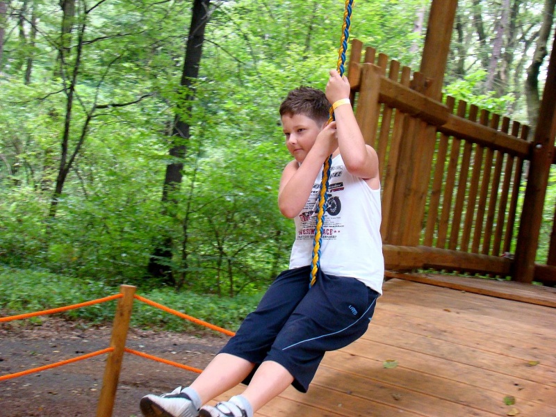 Zdjęcie w galerii na portalu naszwodzislaw.com: Tam można przeżyć leśną przygodę wiadomości z regionu