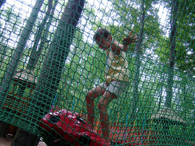 Zdjęcie w galerii na portalu naszwodzislaw.com: Tam można przeżyć leśną przygodę wiadomości z regionu