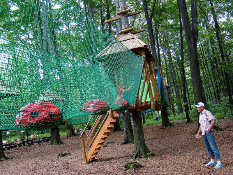 Zdjęcie w galerii na portalu naszwodzislaw.com: Tam można przeżyć leśną przygodę wiadomości z regionu