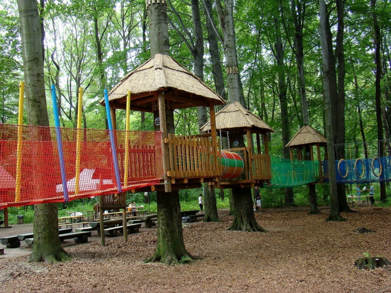 Zdjęcie w galerii na portalu naszwodzislaw.com: Tam można przeżyć leśną przygodę wiadomości z regionu