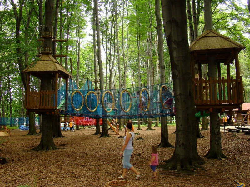 Zdjęcie w galerii na portalu naszwodzislaw.com: Tam można przeżyć leśną przygodę wiadomości z regionu