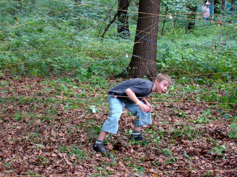 Zdjęcie w galerii na portalu naszwodzislaw.com: Tam można przeżyć leśną przygodę wiadomości z regionu