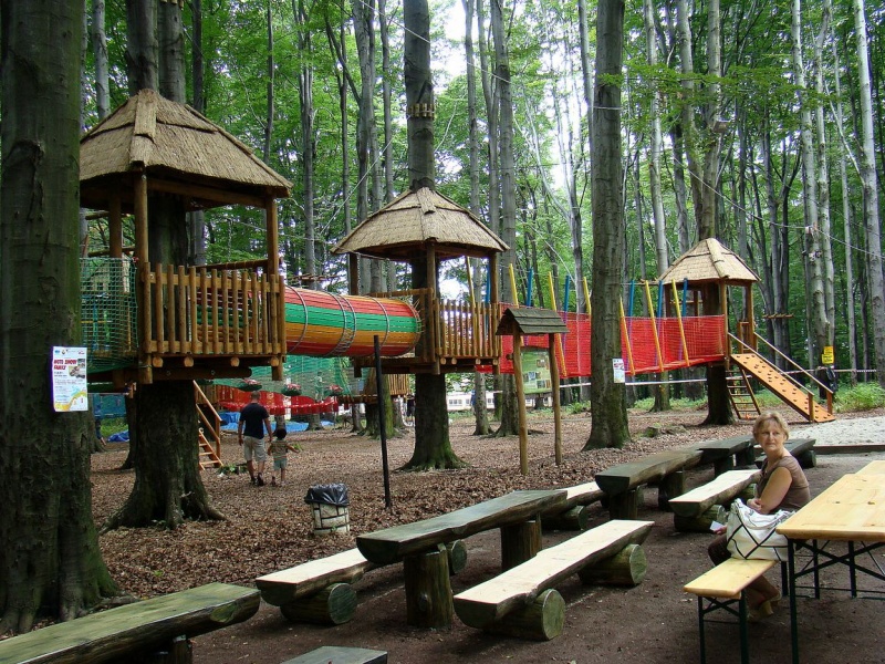 Zdjęcie w galerii na portalu naszwodzislaw.com: Tam można przeżyć leśną przygodę wiadomości z regionu