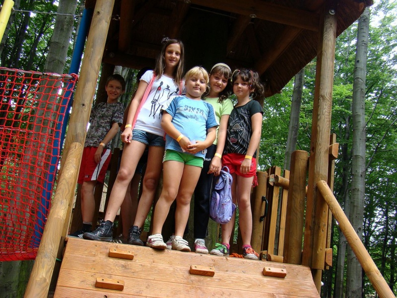 Zdjęcie w galerii na portalu naszwodzislaw.com: Tam można przeżyć leśną przygodę wiadomości z regionu