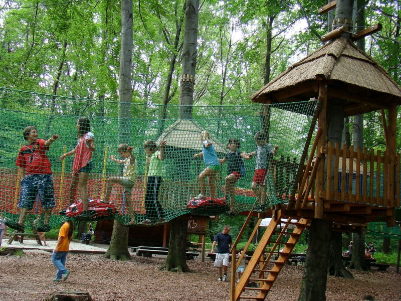 Zdjęcie w galerii na portalu naszwodzislaw.com: Tam można przeżyć leśną przygodę wiadomości z regionu