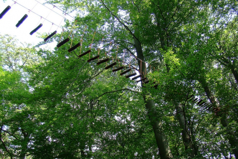 Zdjęcie w galerii na portalu naszwodzislaw.com: Moc wrażeń nad Balatonem wiadomości z regionu