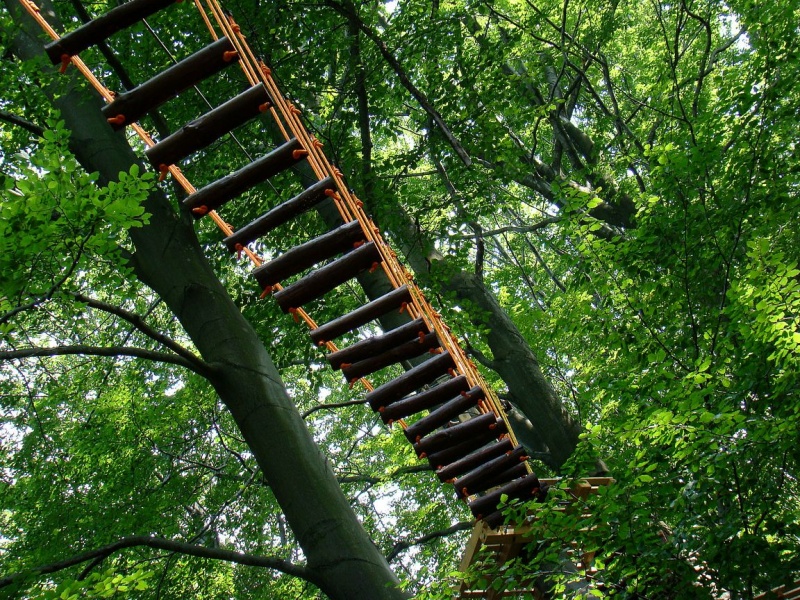 Zdjęcie w galerii na portalu naszwodzislaw.com: Moc wrażeń nad Balatonem wiadomości z regionu