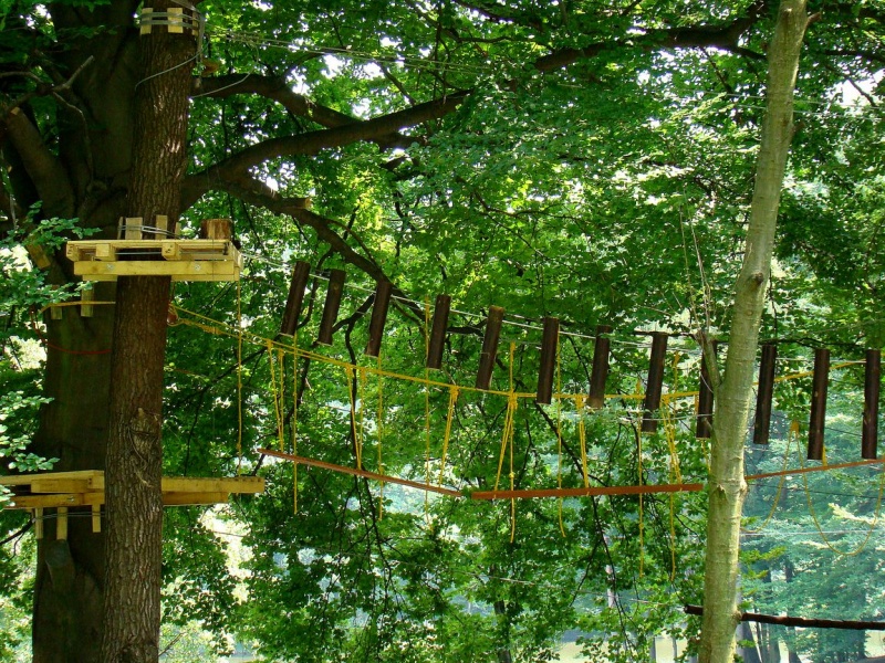 Zdjęcie w galerii na portalu naszwodzislaw.com: Moc wrażeń nad Balatonem wiadomości z regionu