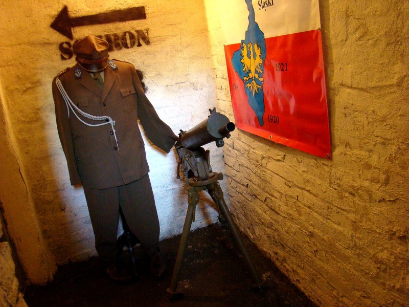 Zdjęcie w galerii na portalu naszwodzislaw.com: Sanitariuszki i mundurowi przy muzeum wiadomości z regionu