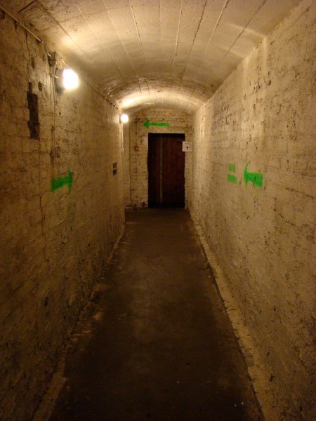 Zdjęcie w galerii na portalu naszwodzislaw.com: Sanitariuszki i mundurowi przy muzeum wiadomości z regionu