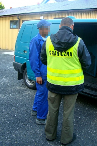 Zdjęcie w galerii na portalu naszwodzislaw.com: 4 cudzoziemców pracowało nielegalnie wiadomości z regionu