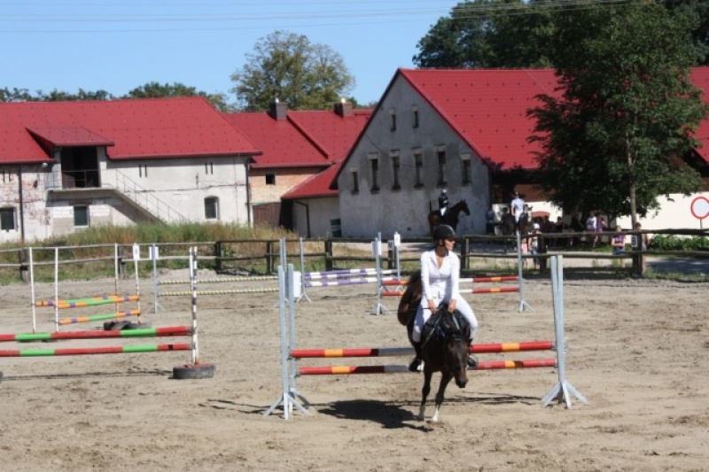Zdjęcie w galerii na portalu naszwodzislaw.com: Zawody i pokazy jeździeckie wiadomości z regionu