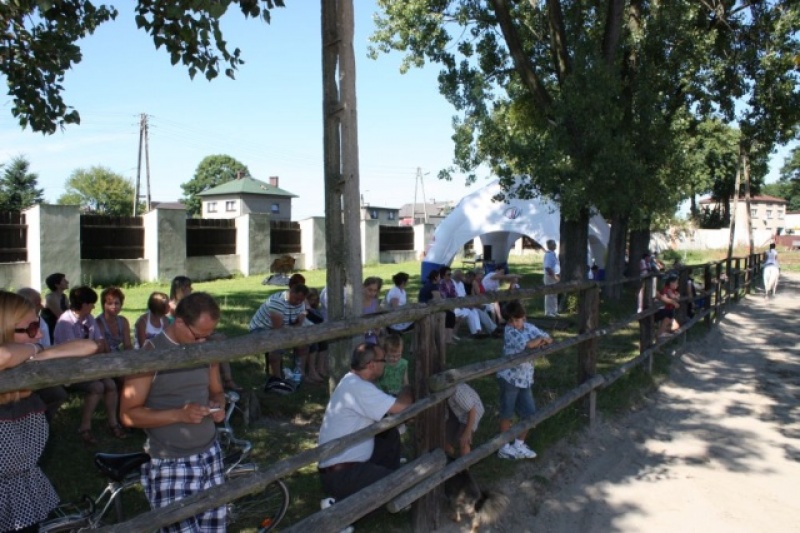 Zdjęcie w galerii na portalu naszwodzislaw.com: Zawody i pokazy jeździeckie wiadomości z regionu