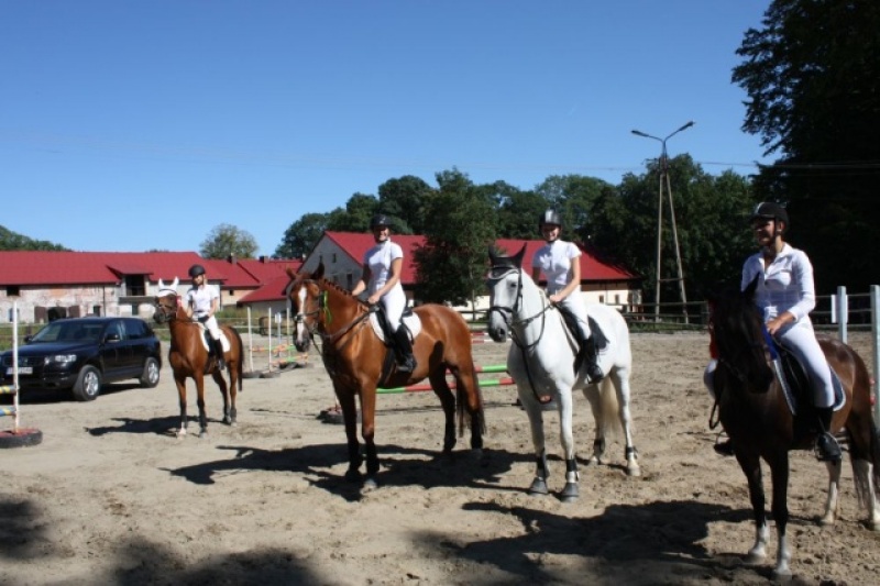 Zdjęcie w galerii na portalu naszwodzislaw.com: Zawody i pokazy jeździeckie wiadomości z regionu