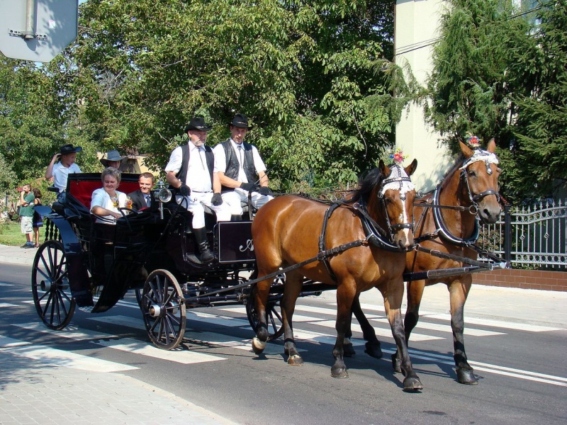 Zdjęcie w galerii na portalu naszwodzislaw.com: W Radlinie dziękowali za plony wiadomości z regionu