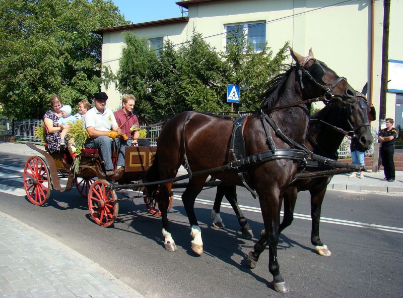 Zdjęcie w galerii na portalu naszwodzislaw.com: W Radlinie dziękowali za plony wiadomości z regionu