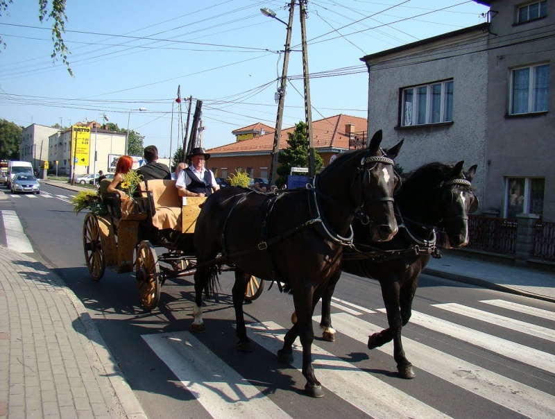 Zdjęcie w galerii na portalu naszwodzislaw.com: W Radlinie dziękowali za plony wiadomości z regionu