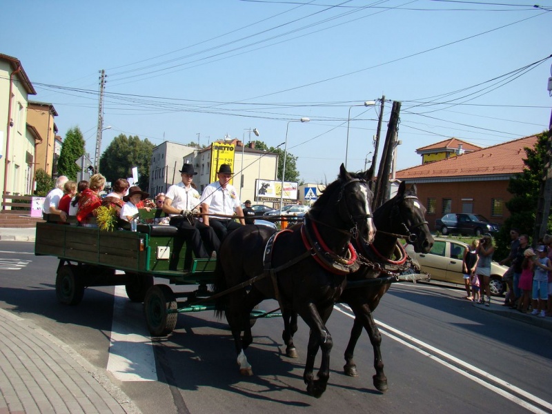 Zdjęcie w galerii na portalu naszwodzislaw.com: W Radlinie dziękowali za plony wiadomości z regionu