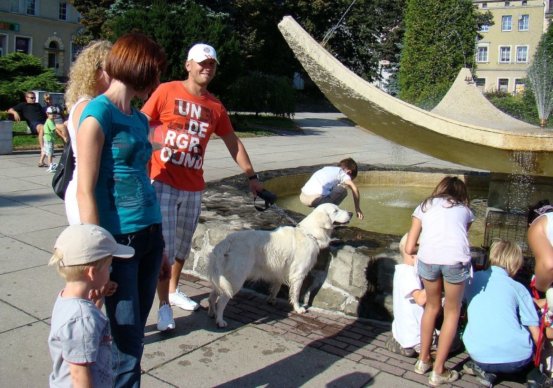 Zdjęcie w galerii na portalu naszwodzislaw.com: Gryzonie pędziły po zwycięstwo wiadomości z regionu