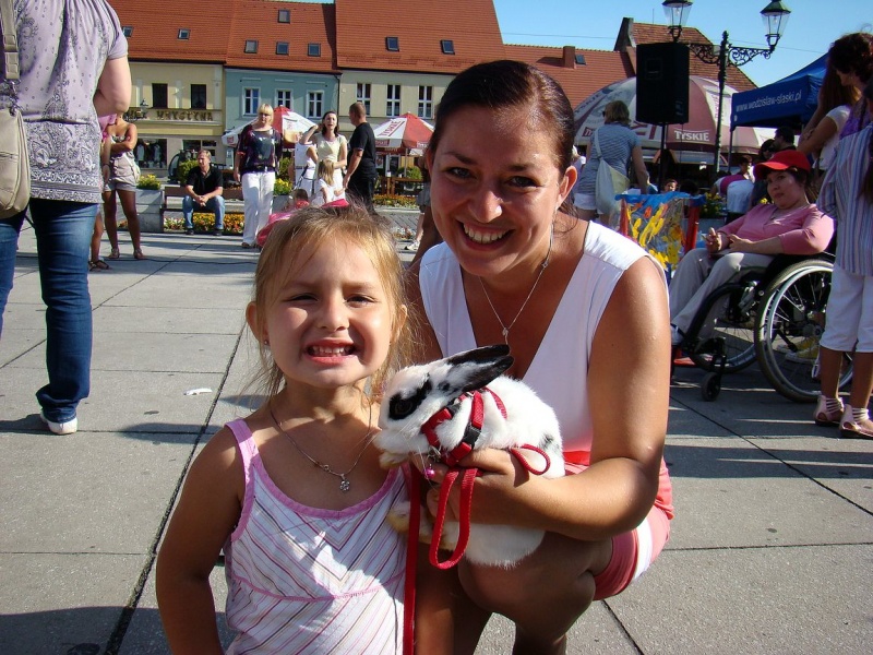 Zdjęcie w galerii na portalu naszwodzislaw.com: Gryzonie pędziły po zwycięstwo wiadomości z regionu